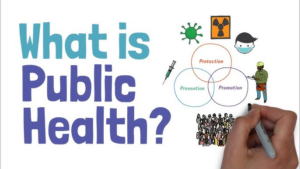 Public Health Essays PU500: Foundations in Public Health