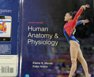 Anatomy & Physiology, 11th Edition