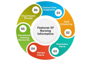 Use of Clinical Systems to Improve Nursing Outcomes and Efficiencie