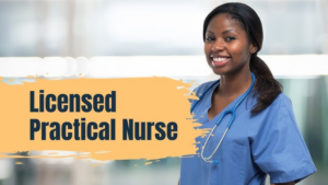 Optimizing Success in Licensed Practical Nurse/Licensed Vocational Nurse